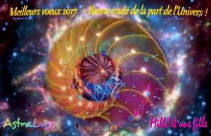 VOEUX 2017