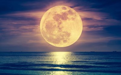 Pleine Lune du 31 janvier : Super Lune Bleue de sang